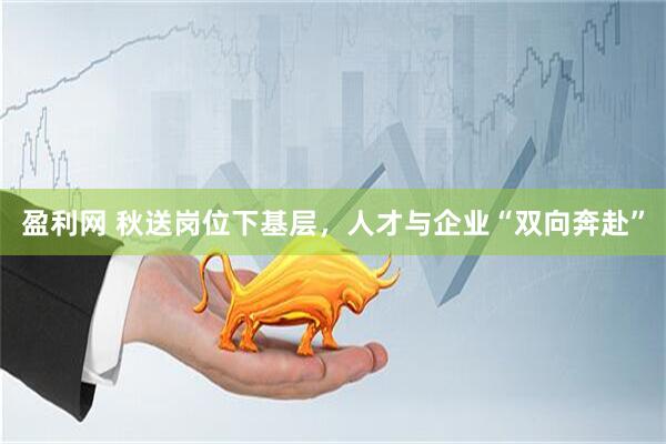 盈利网 秋送岗位下基层，人才与企业“双向奔赴”