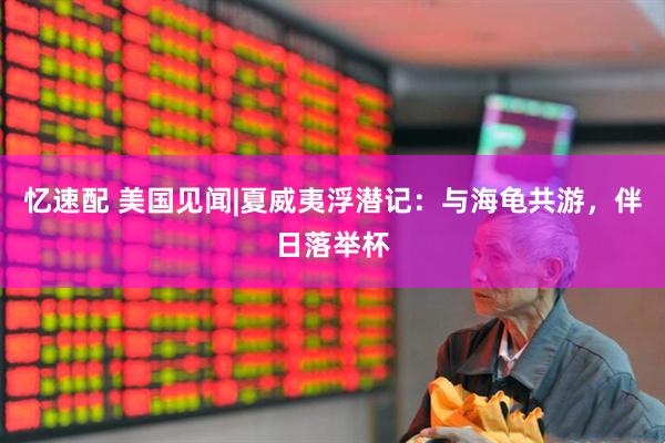 忆速配 美国见闻|夏威夷浮潜记：与海龟共游，伴日落举杯
