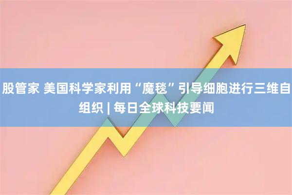 股管家 美国科学家利用“魔毯”引导细胞进行三维自组织 | 每日全球科技要闻