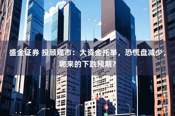 盛金证券 投顾观市：大资金托举，恐慌盘减少，哪来的下跌预期？