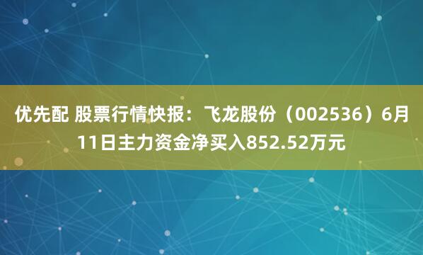 优先配 股票行情快报：飞龙股份（002536）6月11日主力资金净买入852.52万元