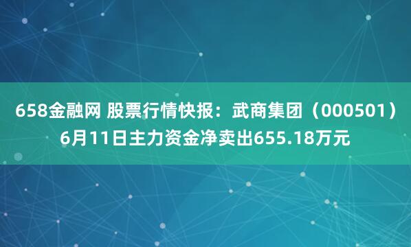 658金融网 股票行情快报：武商集团（000501）6月11日主力资金净卖出655.18万元