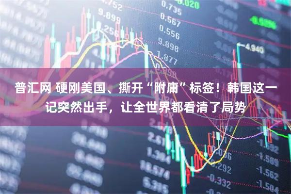普汇网 硬刚美国、撕开“附庸”标签！韩国这一记突然出手，让全世界都看清了局势